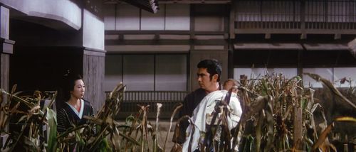 Shintarô Katsu and Hizuru Takachiho in Fight, Zatoichi, Fight (1964)