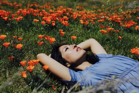 Poppy field