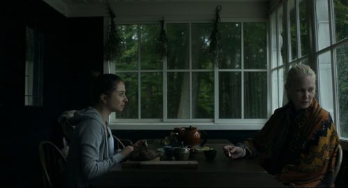 Ellen Dorrit Petersen and Cosmina Stratan in Shelley (2016)