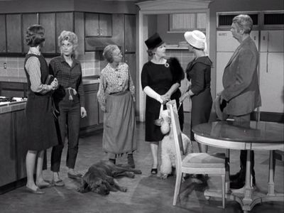 Buddy Ebsen, Donna Douglas, Nancy Kulp, Harriet E. MacGibbon, Narda Onyx, Irene Ryan, and Duke in The Beverly Hillbillie