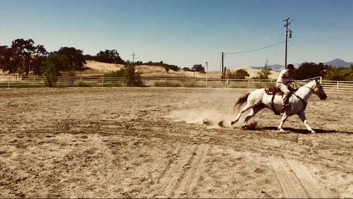 Behind the scenes of The Heeler.