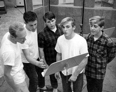 Al Jardine, Mike Love, Brian Wilson, Carl Wilson, Dennis Wilson, and The Beach Boys