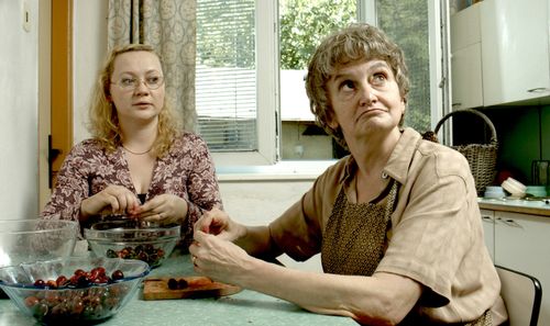 Eva Holubová in The Good Plumber (2016)