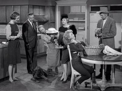 Buddy Ebsen, Raymond Bailey, Donna Douglas, Harriet E. MacGibbon, Narda Onyx, Irene Ryan, and Duke in The Beverly Hillbi