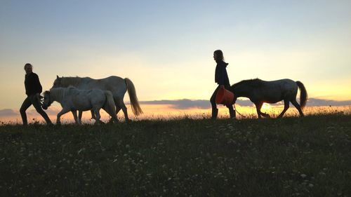 Ceci Chuh and Alissa Wilms in Of Girls and Horses (2014)