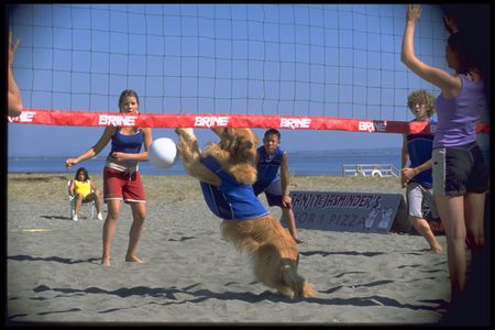 Tyler Boissonnault and Katija Pevec in Air Bud: Spikes Back (2003)