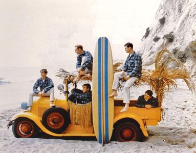 Al Jardine, Mike Love, Brian Wilson, Carl Wilson, Dennis Wilson, and The Beach Boys