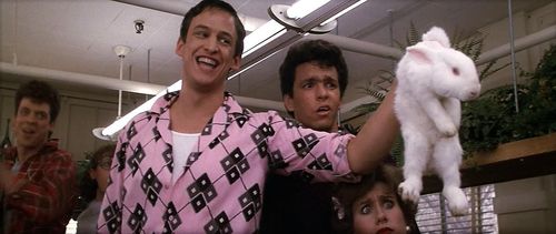 Christopher McDonald, Peter Frechette, and Alison Price in Grease 2 (1982)