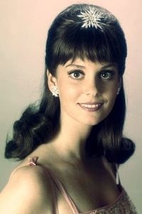 Lesley Ann Warren