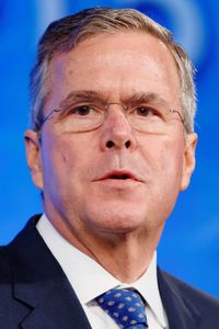 Jeb Bush