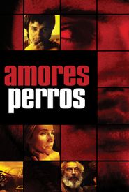 Amores Perros