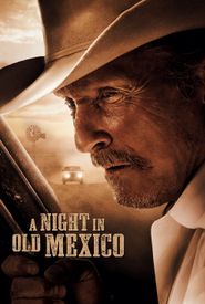 A Night in Old Mexico