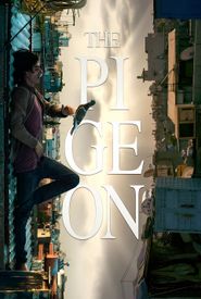 The Pigeon