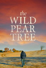 The Wild Pear Tree