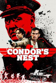 Condor's Nest