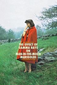 The Effect of Gamma Rays on Man-in-the-Moon Marigolds