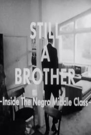 Still a Brother: Inside the Negro Middle Class