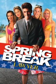 Spring Break Lawyer