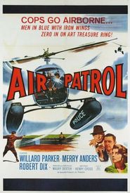 Air Patrol