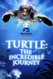 Turtle: The Incredible Journey