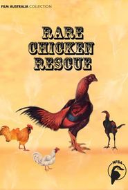 Rare Chicken Rescue