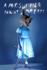 Julie Taymor's A Midsummer Night's Dream