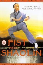 Fist from Shaolin