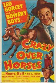 Crazy Over Horses