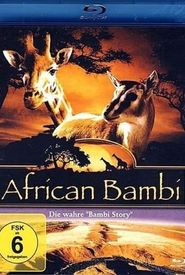 African Bambi