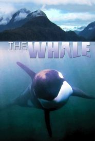 The Whale