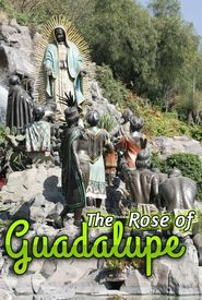 La rosa de Guadalupe