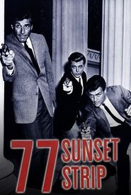 77 Sunset Strip