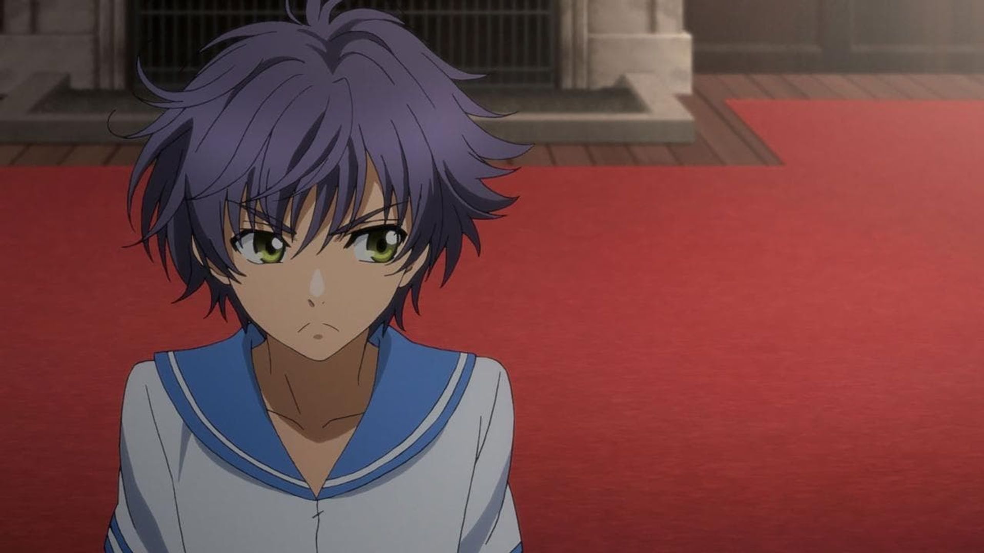 Hakkenden: Eight Dogs of the East background