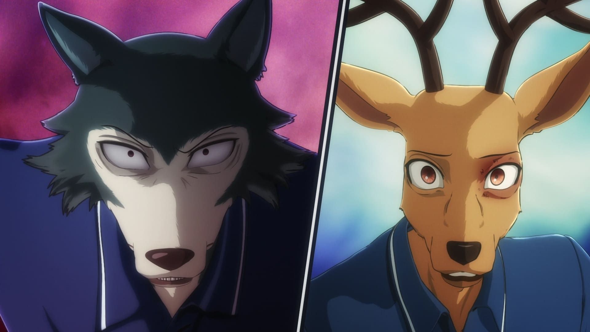 Beastars background