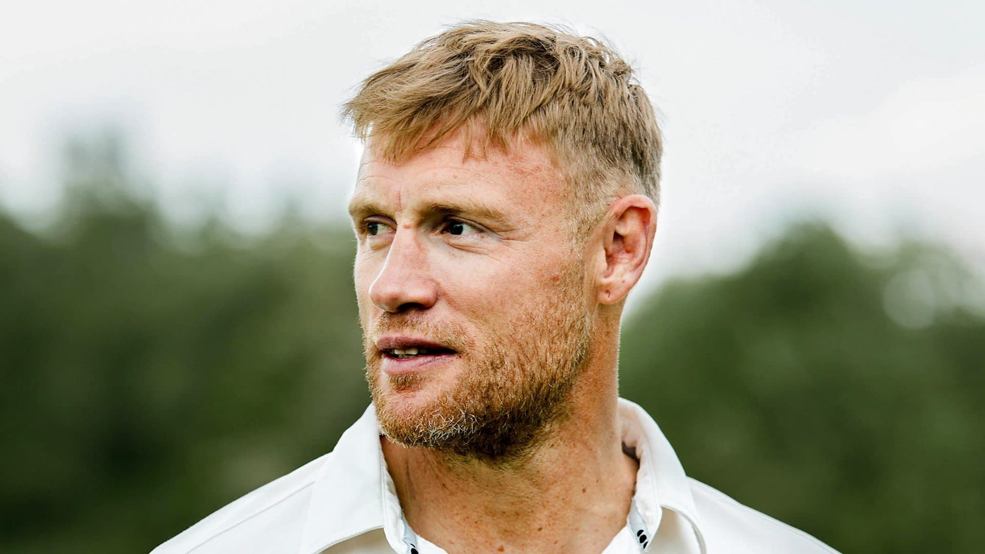 Freddie Flintoff's Field of Dreams background