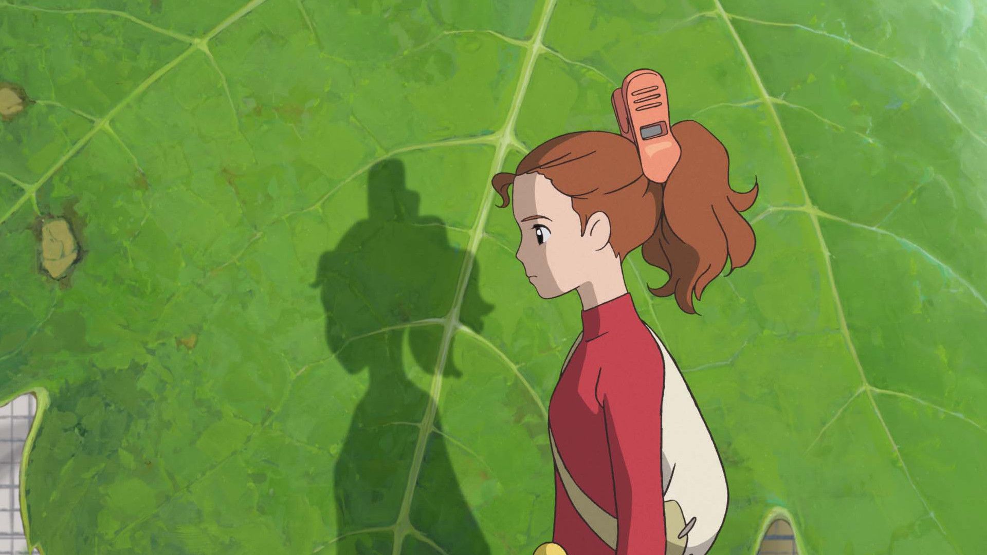 The Secret World of Arrietty background