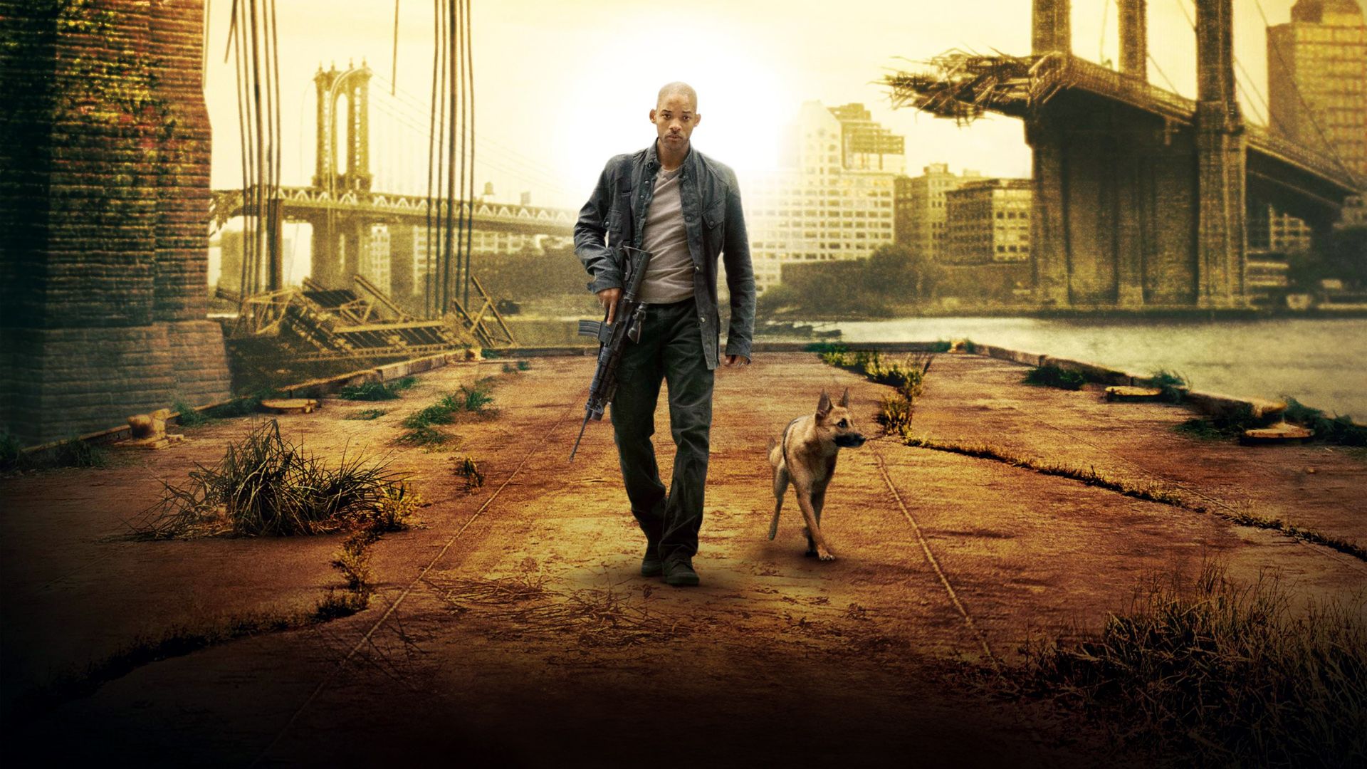 I Am Legend background