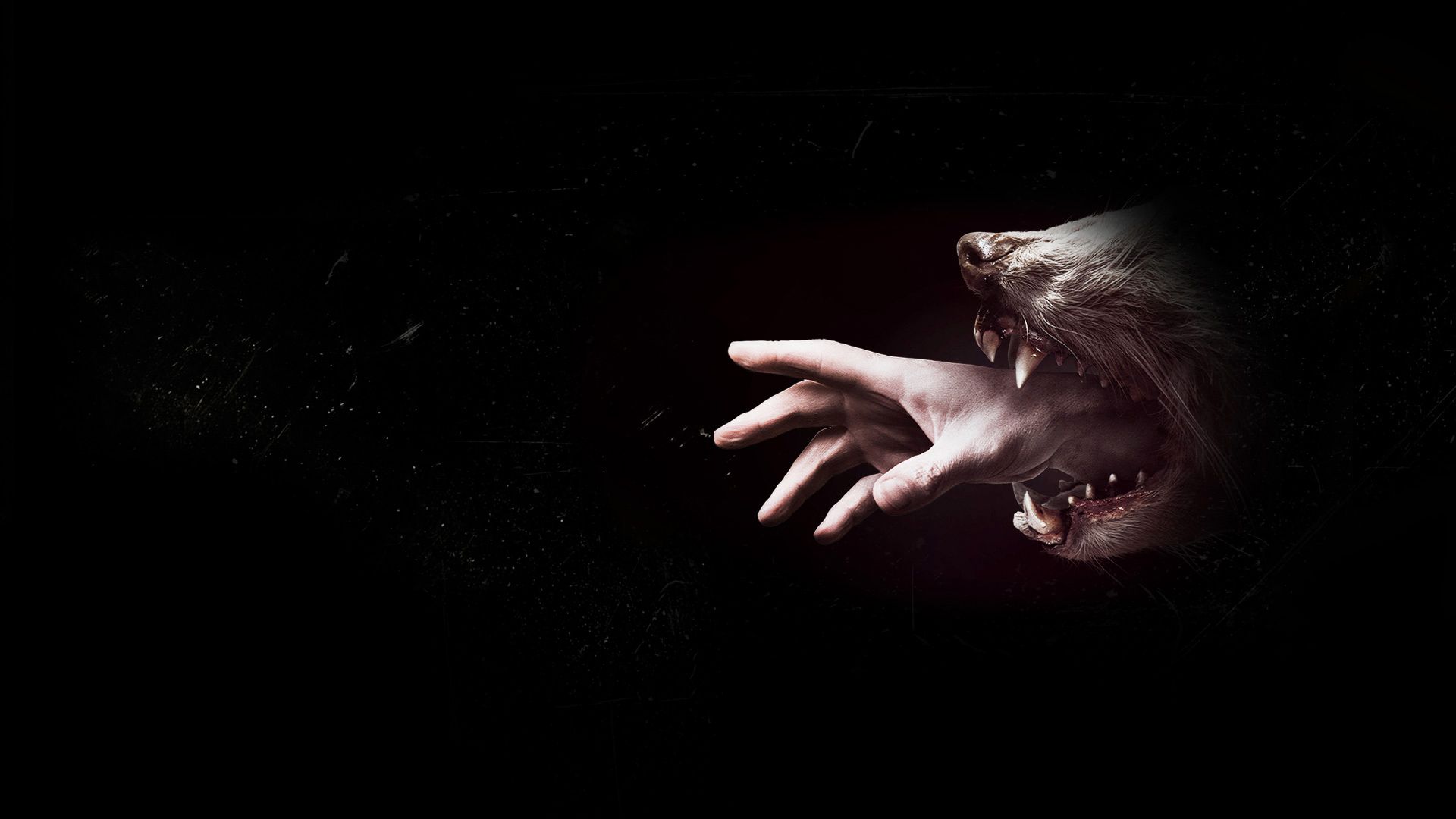 Hemlock Grove background