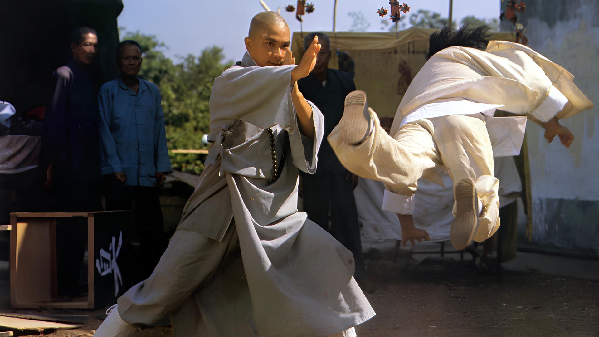 The Buddhist Fist background