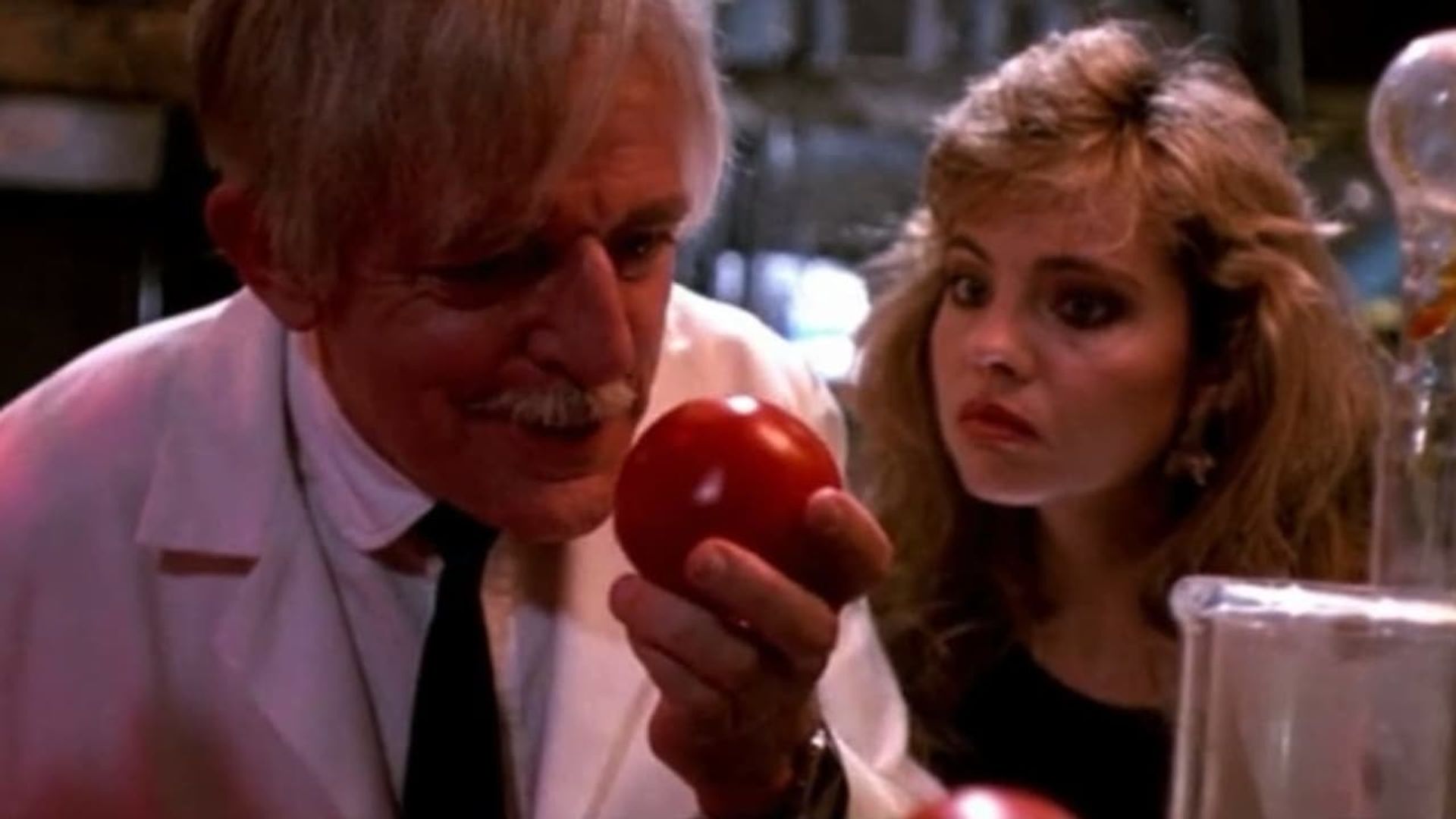 Killer Tomatoes Strike Back! background