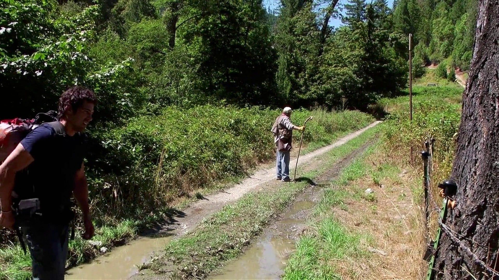 Bigfoot County background