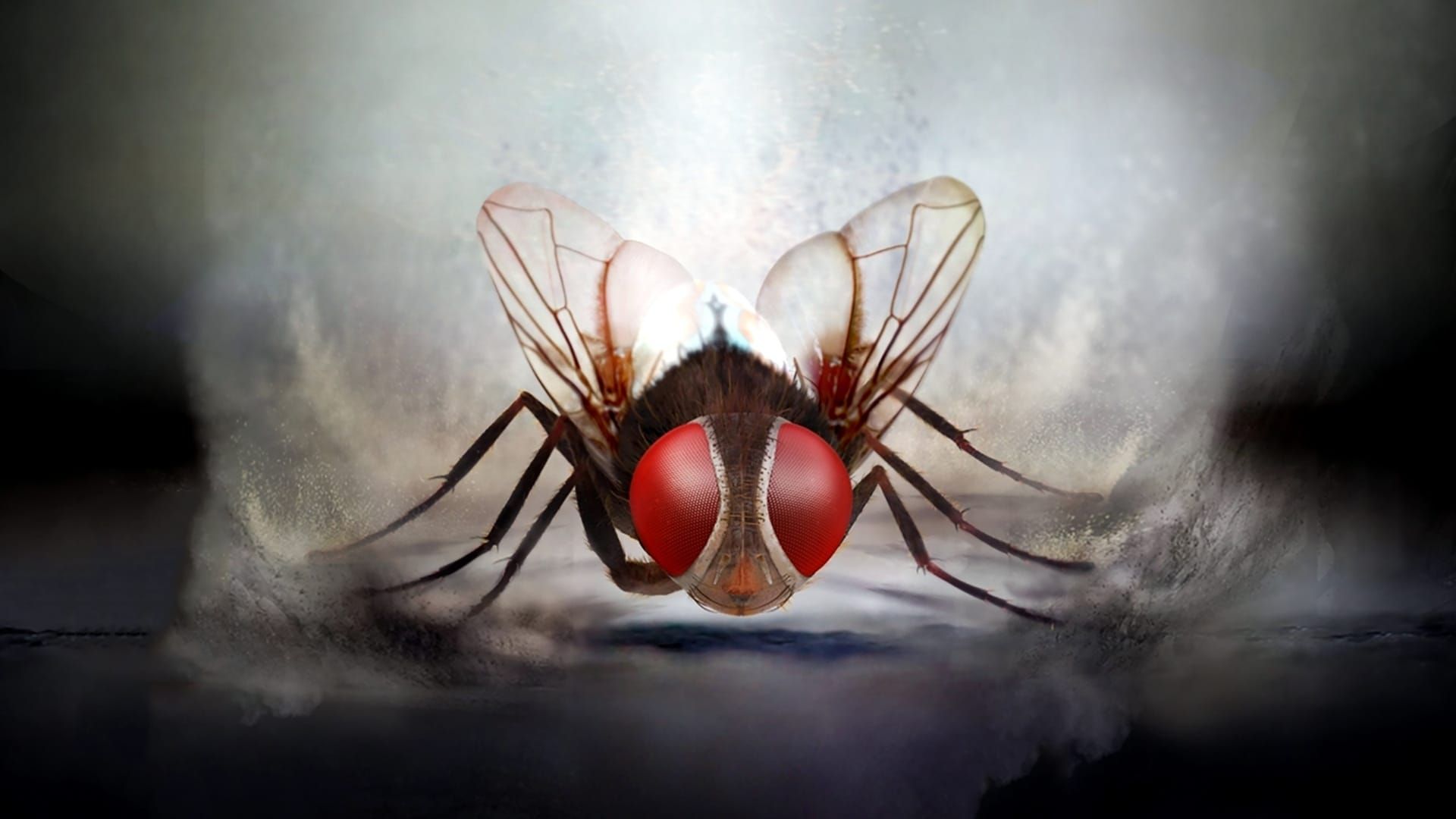 Eega background