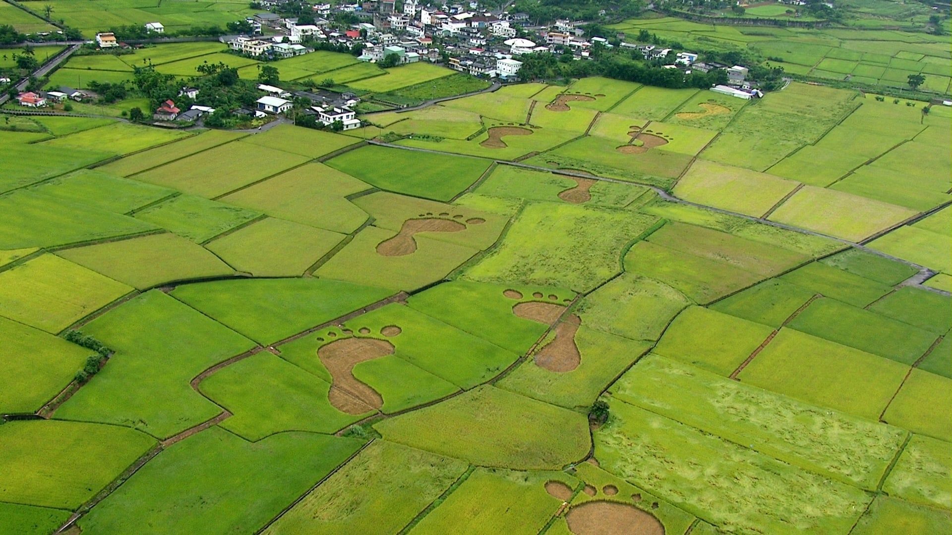 Beyond Beauty: Taiwan from Above background