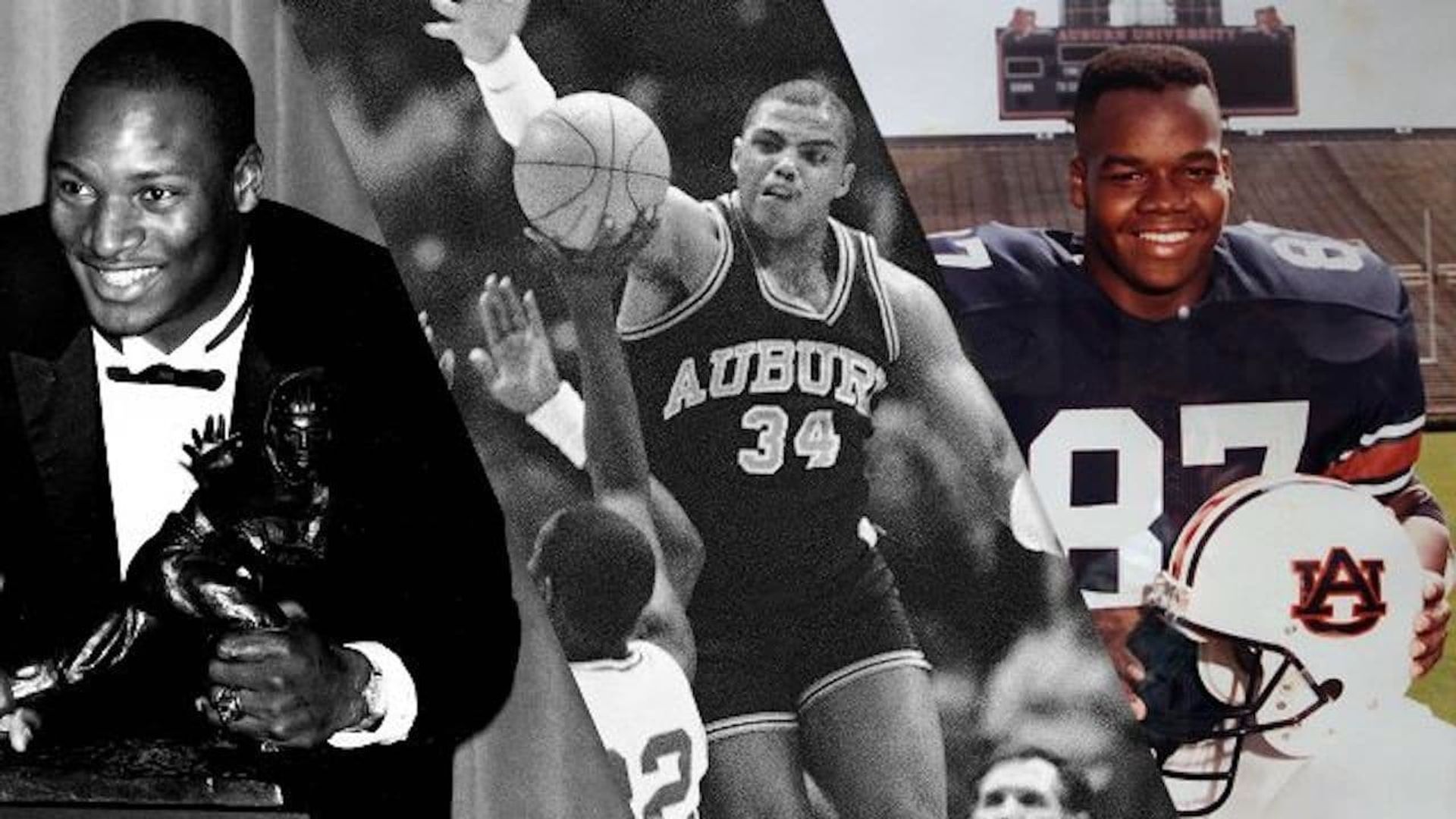 Bo, Barkley and the Big Hurt background