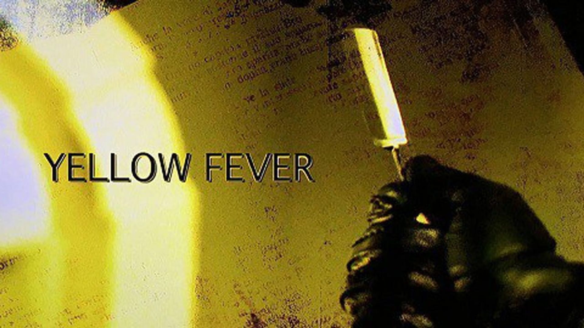 Yellow Fever: The Rise and Fall of the Giallo background