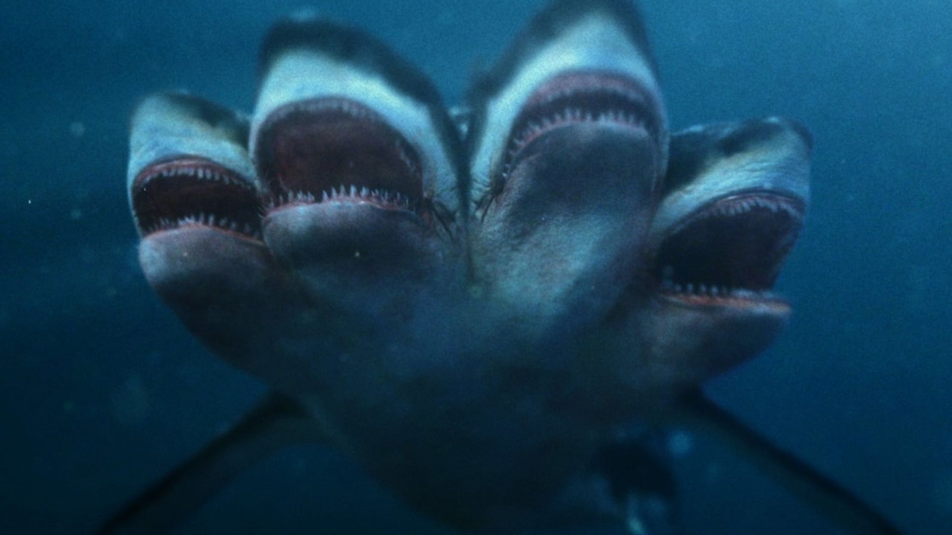 5 Headed Shark Attack background