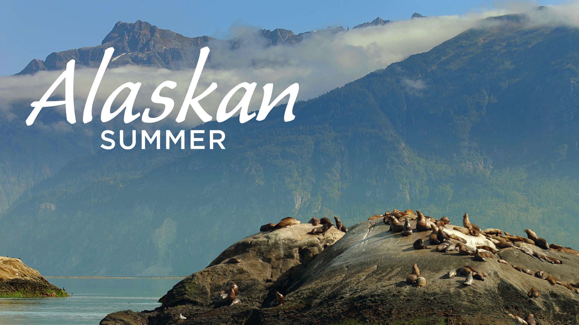 Alaskan Summer background