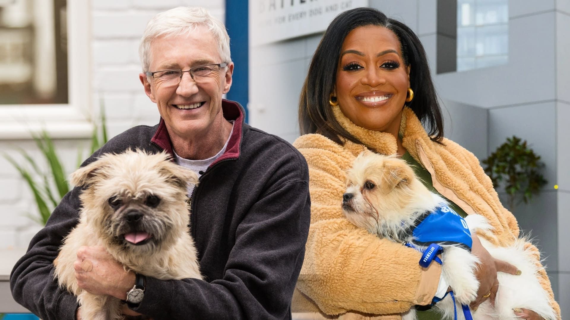 Paul O'Grady: For the Love of Dogs background