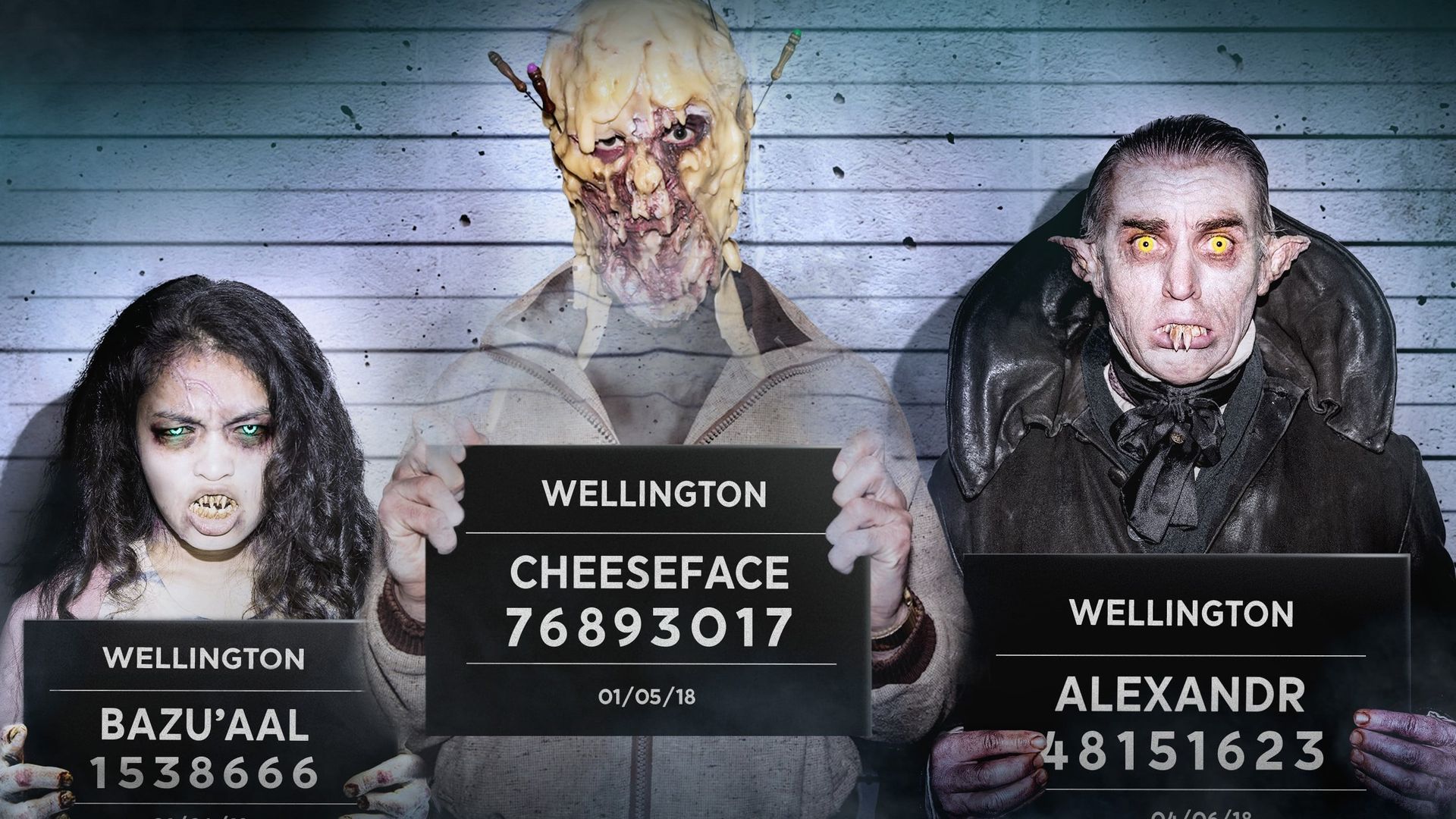 Wellington Paranormal background