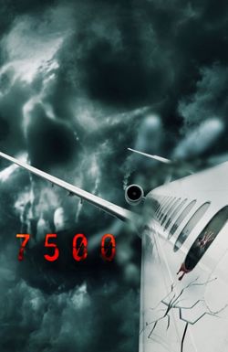 Flight 7500